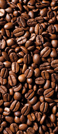Coffee Beans Deurposter Fotobehang 182VET