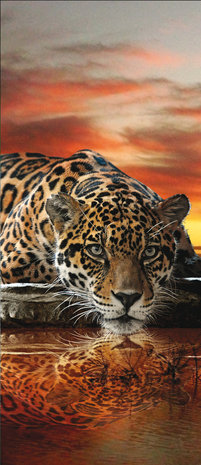 Jaguar Against the Setting Sun Deurposter Fotobehang 126VET