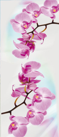 Orchid Flower Floral Deurposter Fotobehang 116VET