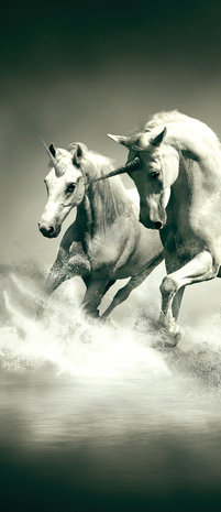 Unicorns Galloping on Water Deurposter Fotobehang 430VET