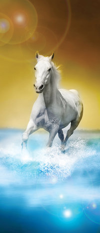 White Horses Galloping on Water Deurposter Fotobehang 425VET