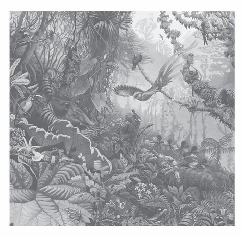 KEK Tropical Landscapes 6d WP-604 (Met Gratis Lijm)