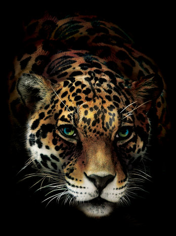 Jaguar Fotobehang 10148VEA