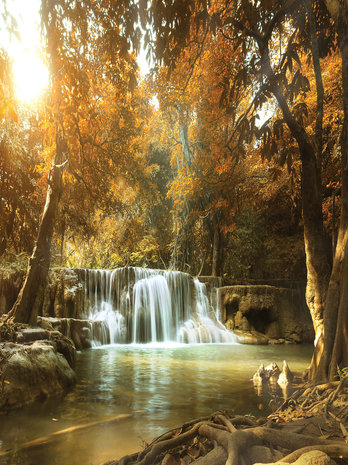 Waterfall in the Autumn Forest Fotobehang 10470VEA