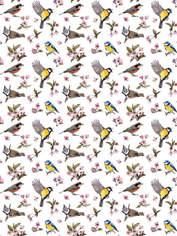 Little Birds and Floral Patterns Fotobehang 10401VEA