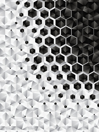 3D Hexagons  Fotobehang 10685VEA