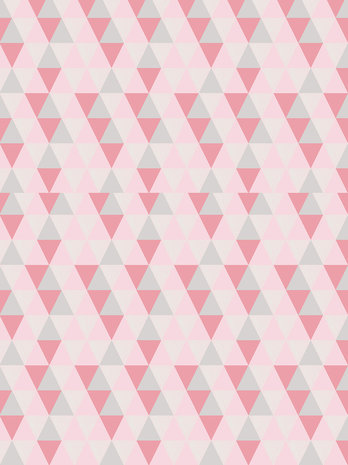 Pink Triangles Fotobehang 10728VEA