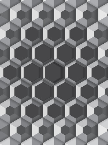 3D Hexagons Fotobehang 10761VEA