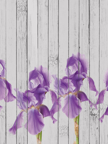 Irises on Wooden Boards Fotobehang 10951VEA