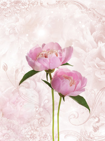 Pink Peony Fotobehang 10295VEA