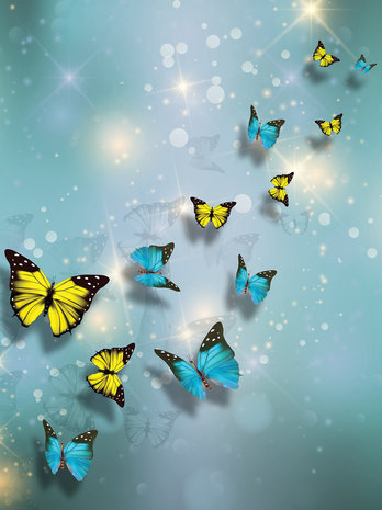 Yellow and Blue Butterflies Fotobehang 10225VEA