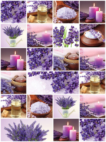 Lavender Collage Fotobehang 10450VEA