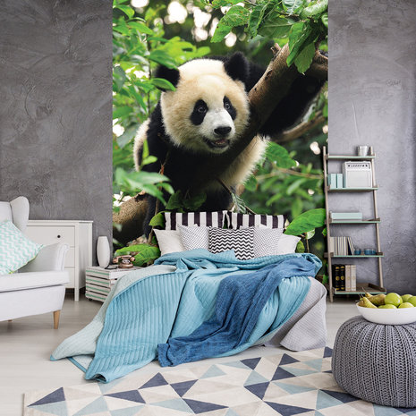 Panda Bear on the Tree Fotobehang 10238VEA