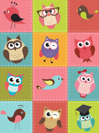 Birds and Owls Patchwork Fotobehang 10376VEA