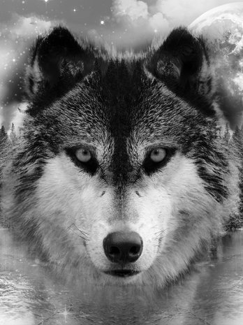 Wolf Fotobehang 10147VEA