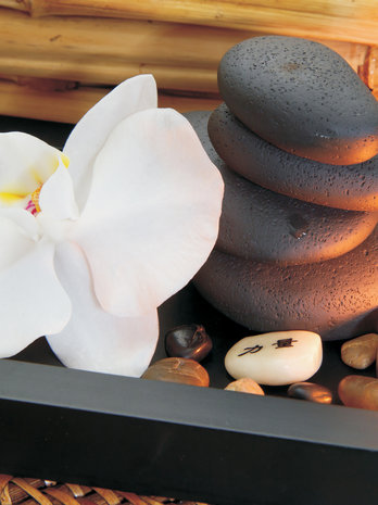 SPA Orchid and Stones Fotobehang 10188VEA