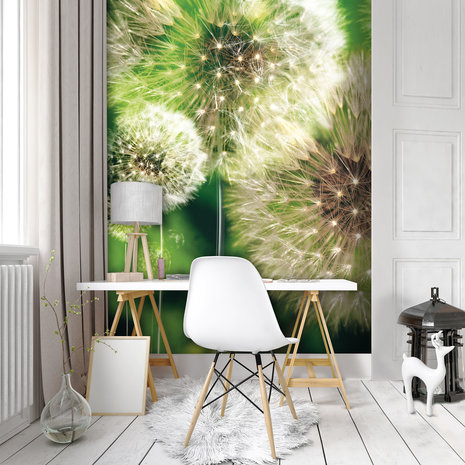 Dandelions on the Green Background Fotobehang 10221VEA