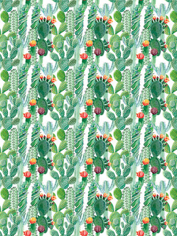 Cactus Fotobehang 11082VEA