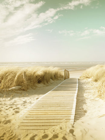 Beach Fotobehang 11600VEA