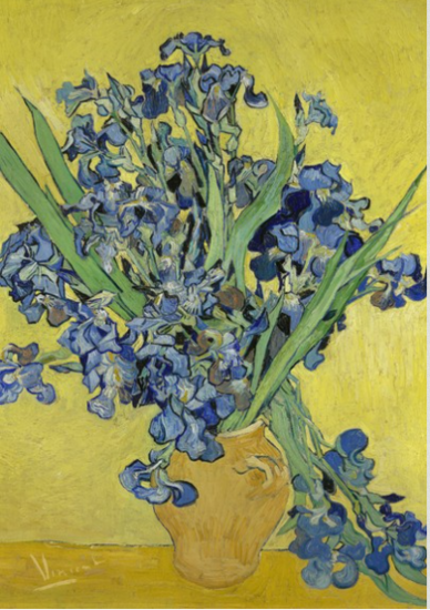 BN Wallcoverings Van Gogh / No Limits 30545 Irissen