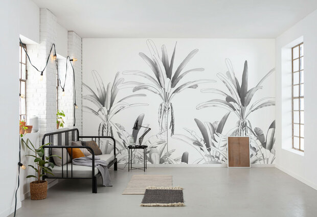 Komar Raw Musa R4-051