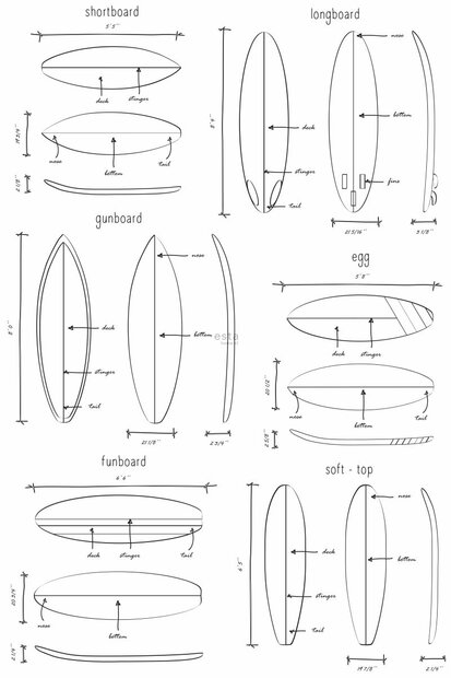 Esta Walls for Kids XL2 | Regatta Crew - Surf Edition 158848 (Met Gratis Lijm)