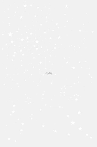 Esta Walls for Kids XL2 158857 (Met Gratis Lijm)