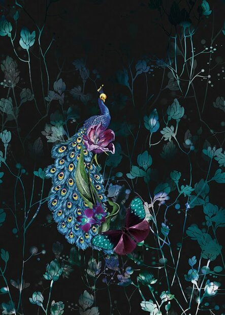 BehangExpresse Checking Out Nature TD4129 (Met Gratis Lijm)