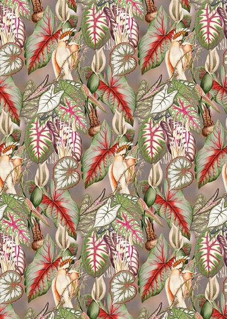 BehangExpresse Checking Out Nature TD4138 (Met Gratis Lijm)