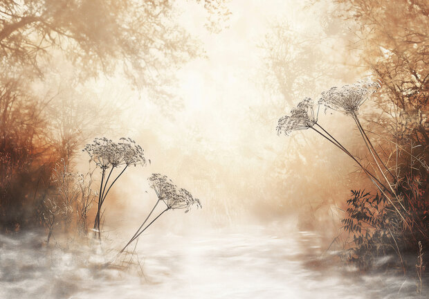 Mistig Bos Fotobehang 15404