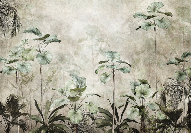 Botanisch Jungle Fotobehang 15096