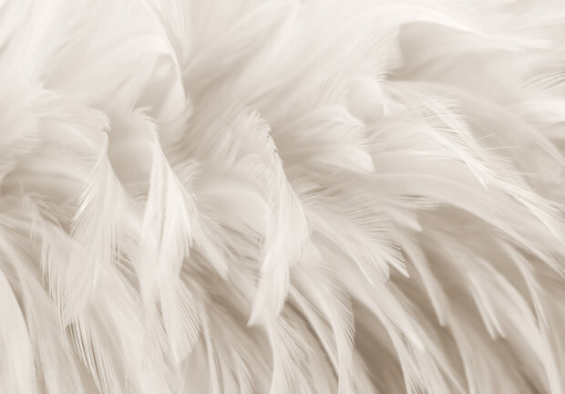 Veren Fotobehang 15279