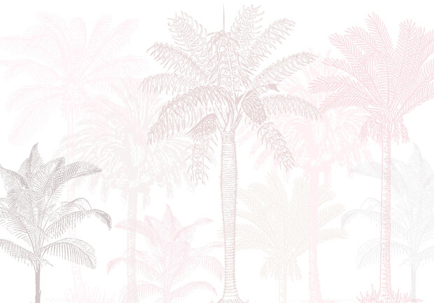 Palmbomen Fotobehang 14005