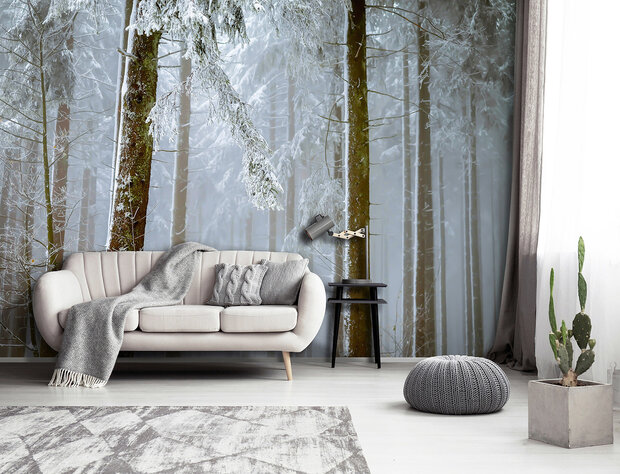 Mistig Fotobehang 13919