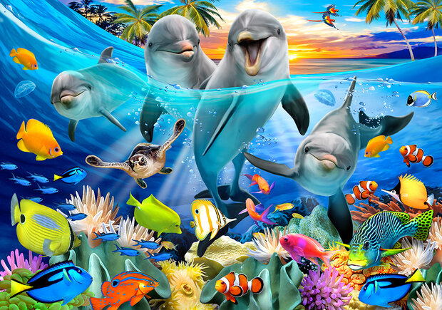 Dolfijnen Fotobehang 12851