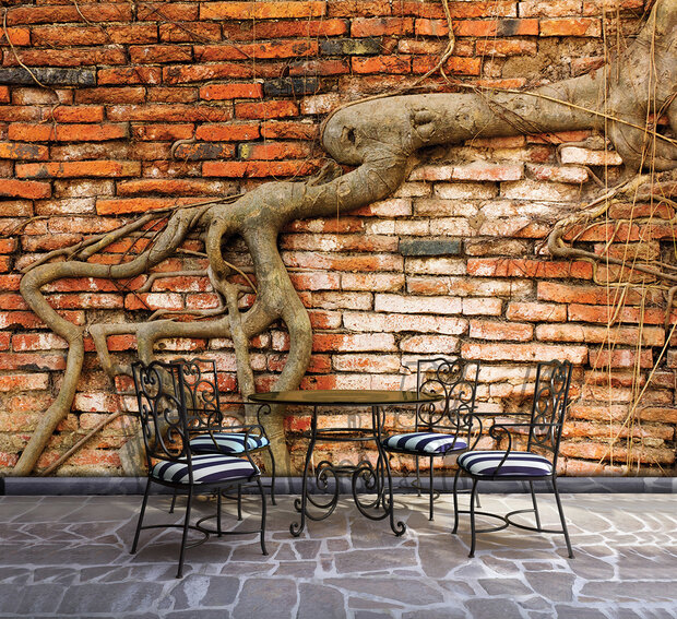 Oude Boom in Stenen Muur 10333