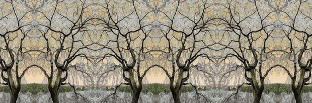 BN Wallcoverings No Limits 30582 Asian serenity