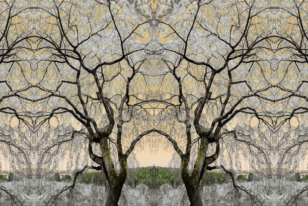 BN Wallcoverings No Limits 30584 Asian serenity