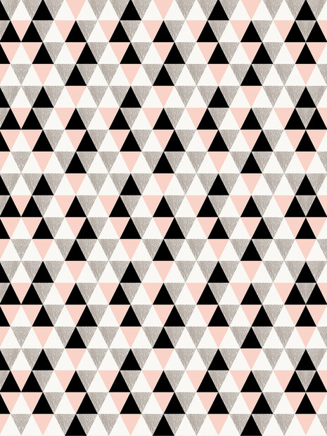 Composition of Triangles Fotobehang 10635VEA