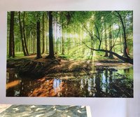 Bos Fotobehang - Fotobehangkoopjes.nl Fysieke Winkel